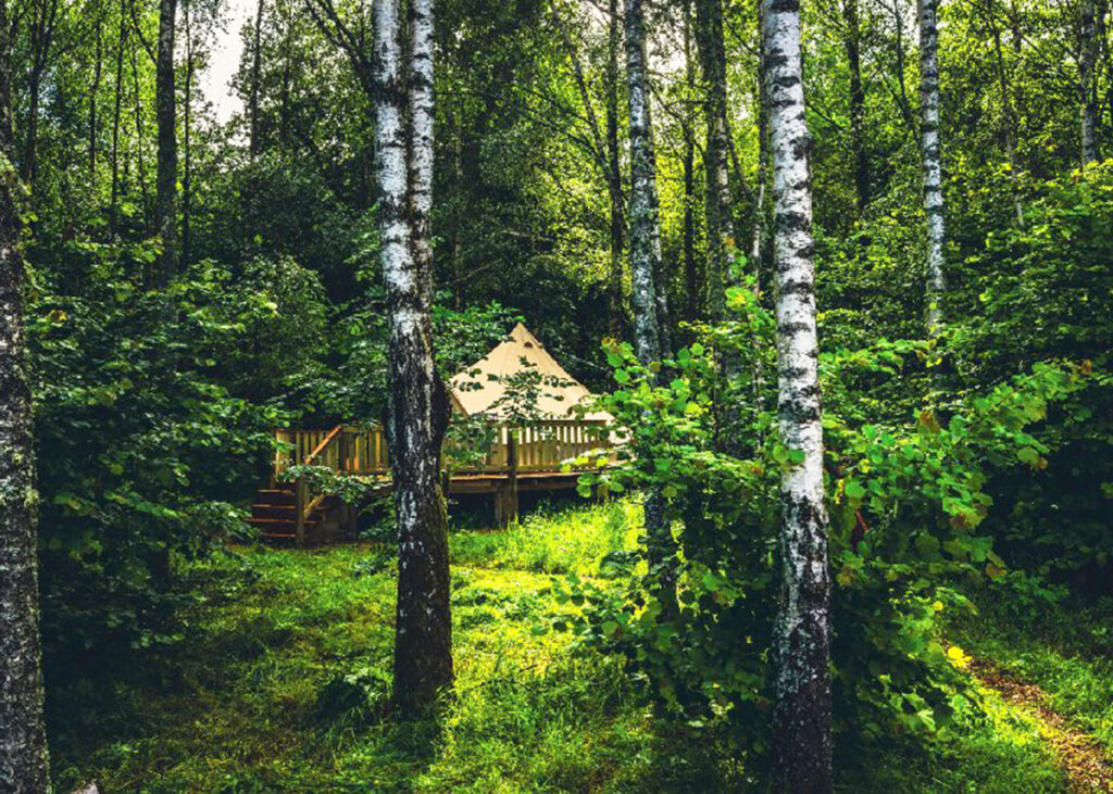 Bjarkagård på Österlen skymtar glampingtältet solplätten bland träden_
