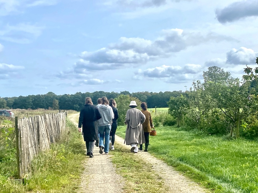Bjarkagård på Österlen
